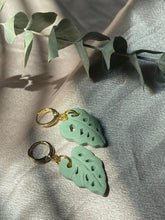 Load image into Gallery viewer, Monstera Adansonii Huggie Hoops